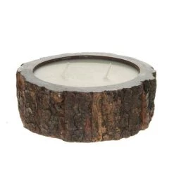 Himalayan Tree Bark Pot Medium Base Camp: Bring It Home