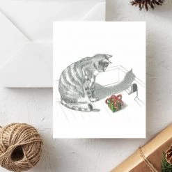 Fable & Sage Tabby Cat Holiday Boxed Card Set Of 10 Greeting Cards Base Camp: Bring It Home