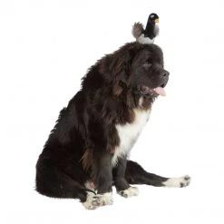 Manhattan Toy Manhattan Goofy Gus Pet Toy Furry Friends