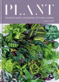 Hachette Book Group Books Plant: House Plants: Choosing, Styling, Caring (Hardcover)