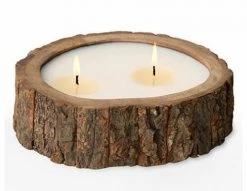 Himalayan Tree Bark Pot Medium Base Camp: Bring It Home