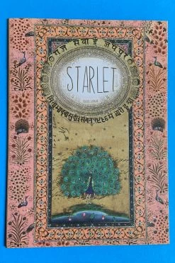 Base Camp: Bring It Home Papaya 5x7 Greeting Card Starlet