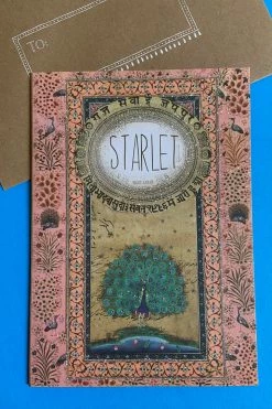 Base Camp: Bring It Home Papaya 5x7 Greeting Card Starlet