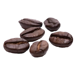 Base Camp Door County Outdoor Gear & Accessories Base Camp House Blend Coffee