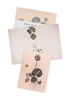 Papaya 5x7 Greeting Card "Sweet Clover" Birthday Base Camp: Bring It Home