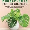 Ingram Books Houseplants For Beginners