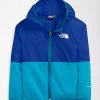 Little Ones The North Face Toddler Windwall Jacket - Banff Blue
