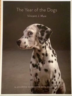 Chronicle Books Base Camp: Bring It Home The Year Of The Dogs - 16 Assorted Notecards