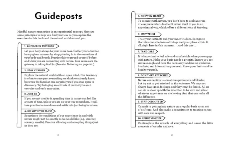 Chronicle Books Into Nature A Creative Field Guide And Journal 5 Chronicle Books Into Nature A Creative Field Guide And Journal