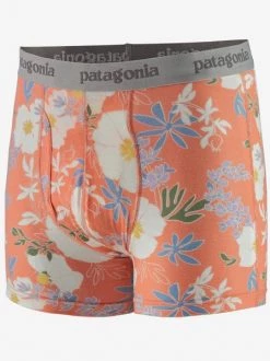 Patagonia M's Essential Boxer Briefs-3" Men's