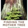 Ingram Base Camp: Bring It Home Finding The Mother Tree