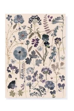 Base Camp: Bring It Home Papaya 5x7 Greeting Card "Midnight Garden"