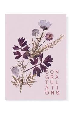 Base Camp: Bring It Home Papaya 5x7 Greeting Card "Mauve"