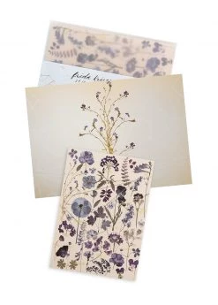 Base Camp: Bring It Home Papaya 5x7 Greeting Card "Midnight Garden"