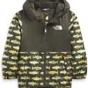 The North Face Toddler Zipline Rain Jacket - New Taupe Green Fly Reel Print