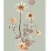 Papaya 5x7 Greeting Card "Sepia Daisy" Thank You Base Camp: Bring It Home