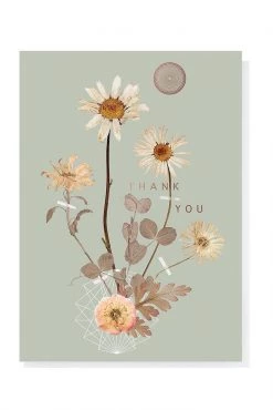 Papaya 5x7 Greeting Card "Sepia Daisy" Thank You Base Camp: Bring It Home