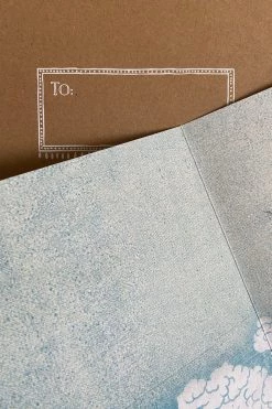 Papaya 5x7 Greeting Card Rose Base Camp: Bring It Home