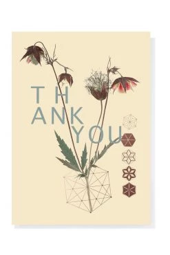 Papaya 5x7 Greeting Card "Lil Blooms" Base Camp: Bring It Home