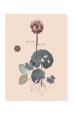 Papaya 5x7 Greeting Card "Sweet Clover" Birthday Base Camp: Bring It Home