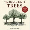 Ingram The Hidden Life Of Trees : What They Feel, How They Communicate