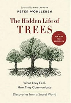Ingram The Hidden Life Of Trees : What They Feel, How They Communicate