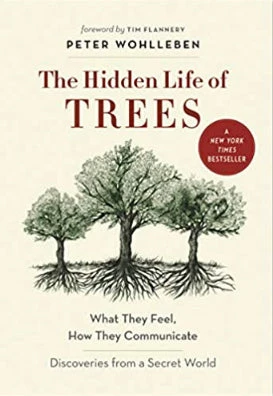 Ingram The Hidden Life Of Trees : What They Feel, How They Communicate 3 Ingram The Hidden Life Of Trees : What They Feel, How They Communicate