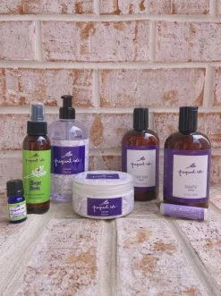 Fragrant Isle Lavender Shampoo 12oz