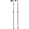 Leki Spin Shark SL Nordic Walking Poles Outdoor Gear & Accessories