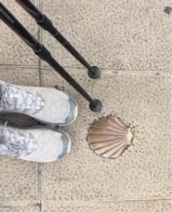 Leki Spin Shark SL Nordic Walking Poles Outdoor Gear & Accessories