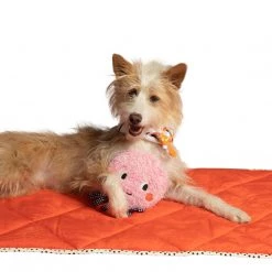 Manhattan Toy Manhattan Ocho Pet Toy