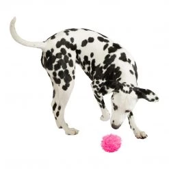 Manhattan Toy Furry Friends Manhattan Freaky Squeakies Pet Toy